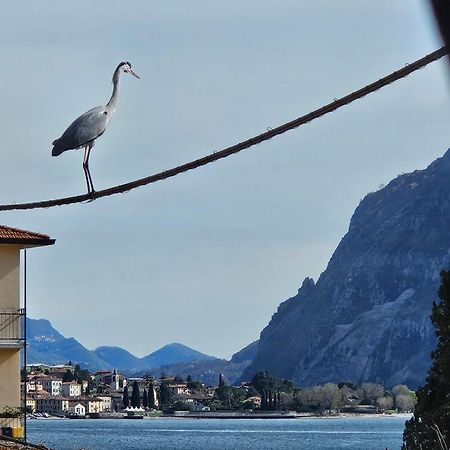 L'Airone - Casa Vacanza Mandello del Lario Εξωτερικό φωτογραφία
