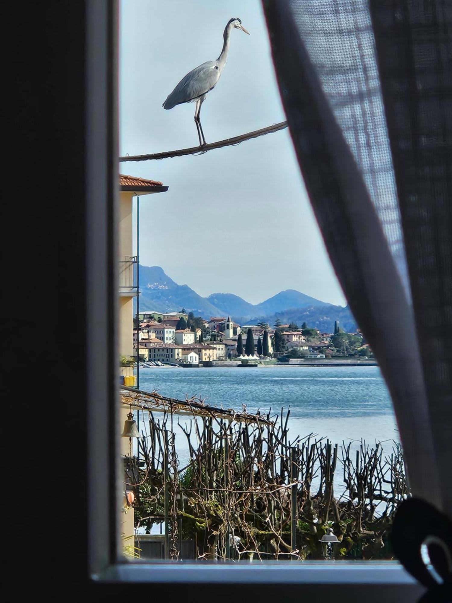 L'Airone - Casa Vacanza Mandello del Lario Εξωτερικό φωτογραφία
