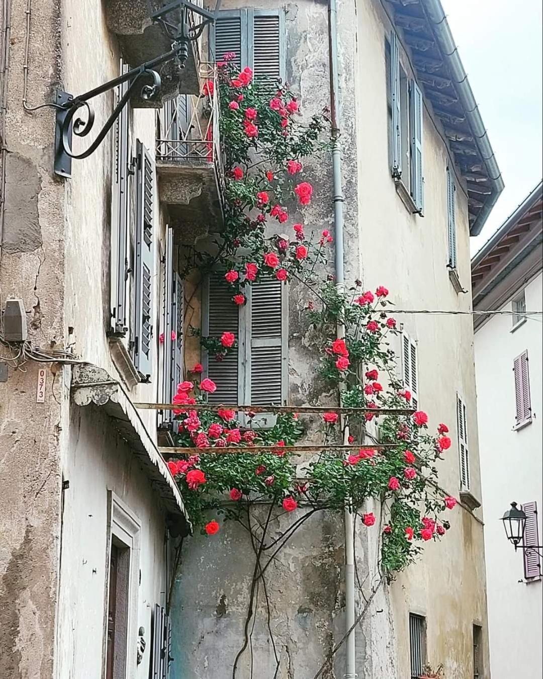 L'Airone - Casa Vacanza Mandello del Lario Εξωτερικό φωτογραφία